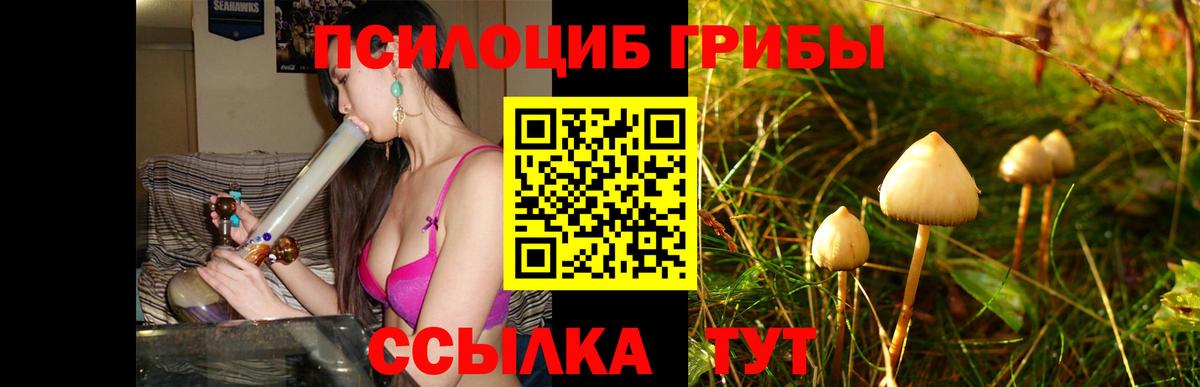 Галлюциногенные грибы GOLDEN TEACHER  купить закладку  Ачинск  Вход с VPN 