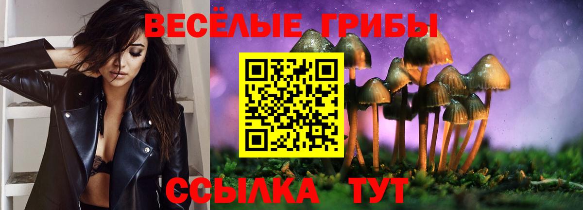 Галлюциногенные грибы прущие грибы Ачинск